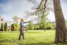 Best Hedge Trimming  in Leesport, PA