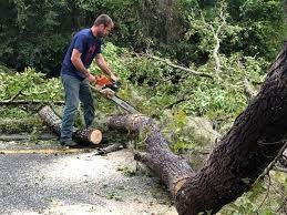 Best Utility Line Clearance  in Leesport, PA